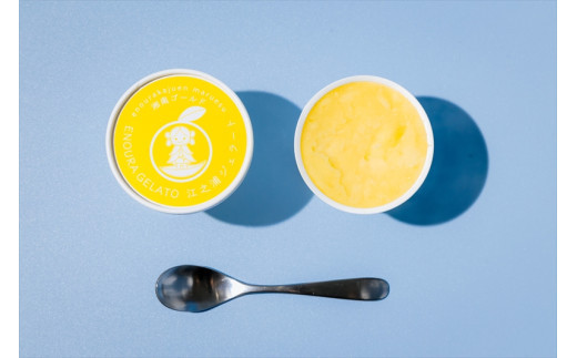 【定期便（2カ月ごと全6回）】小田原産江之浦ジェラート６種（みかん、湘南ゴールド、ブルーベリーミルク、いちごミルク、キウイヨーグルト、甘夏ヨーグルト）120mlカップ各１個合計６個