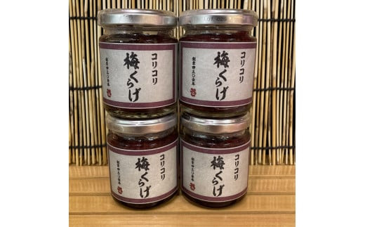 æ¢
ããã 4æ¬ãããã çå³ ãã€ãŸã¿ æ¢
ãã æ£è æµ·é®® å¡©èŸ çå³ ãåãå¯ã 埡äžå
ãäžå
ãæ³æ® ç¶ã®æ¥ æ¯ã®æ¥ èŽãç© æ¥æ¬é
çŒé
ããç¥å¥å·çå°ç°ååžæ©å·ã