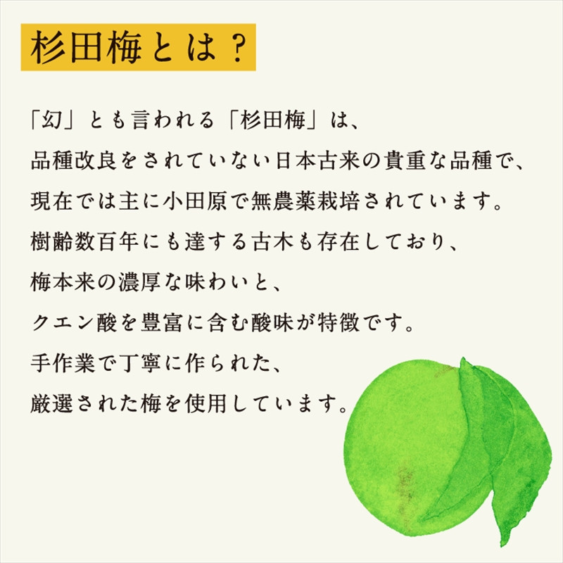 濃厚梅エキスと漢方のシロップ「うめびん（杉田梅） by Kampo Kitchen」【 家庭用 自宅用 贈答品 贈答用 ギフト お取り寄せ お中元 お歳暮 贈り物 お祝い 神奈川県 小田原市 】