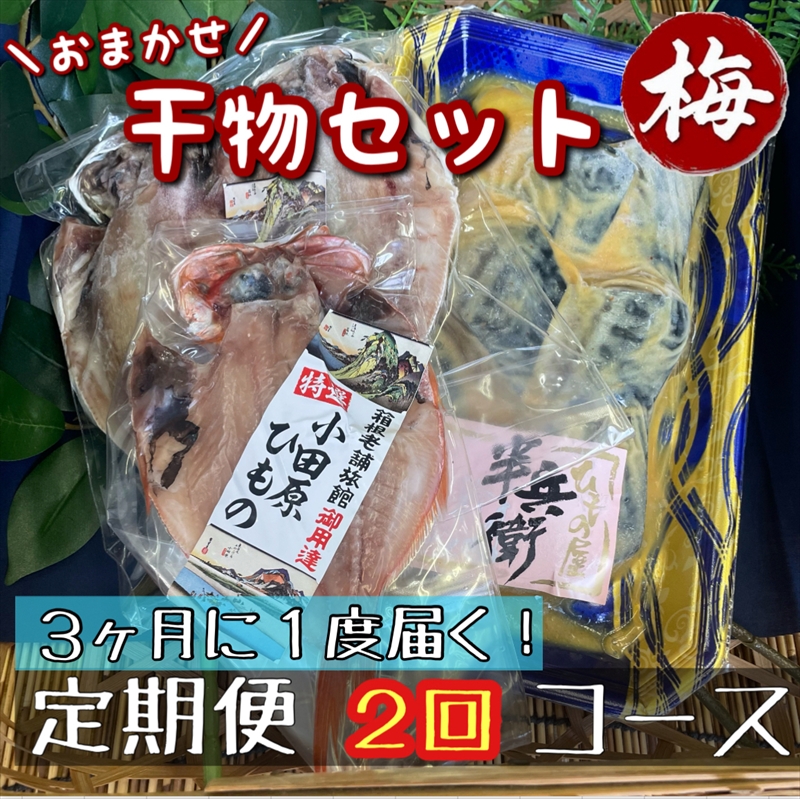 【3ヶ月に1回定期便2回】厳選！小田原の旬の干物セット 梅【 まぐろや 神奈川県小田原市 】