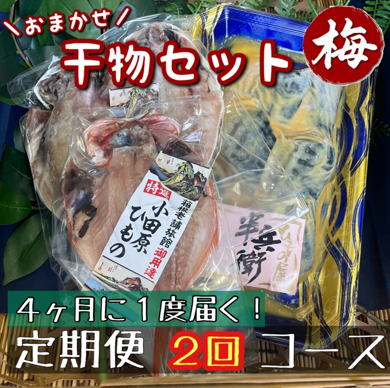 【4ヶ月に1回定期便2回】厳選！小田原の旬の干物セット 梅【 まぐろや 神奈川県小田原市 】