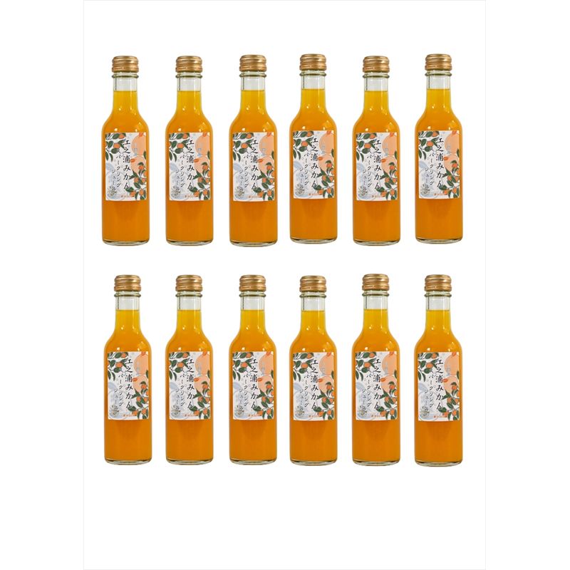 小田原産江之浦みかんスパークリング果汁入り飲料果汁５０％２００ml１２本【 神奈川県 小田原市 】