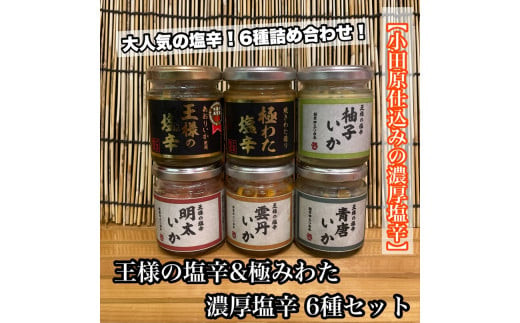塩辛 瓶詰め 6種セット 各1本【焼きわた 明太子 ゆず 雲丹 青唐】【極みわた】【イカ 塩辛 珍味 おつまみ 惣菜 海鮮 いかの塩辛 珍味 お取り寄せ ギフト 御中元 お中元 お歳暮 父の日 母の日 贈り物 日本酒 焼酎】【神奈川県小田原市早川】