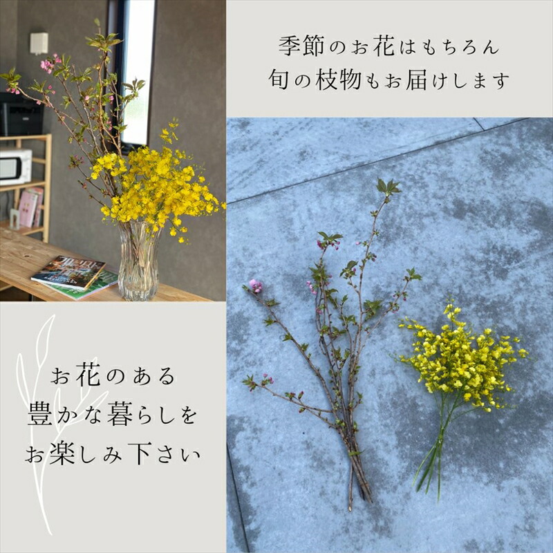素材を楽しむ季節のお花(全12回）【 神奈川県 小田原市 】