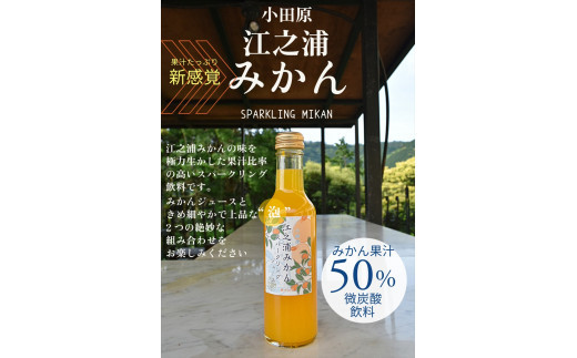 小田原産江之浦みかんスパークリング果汁入り飲料果汁５０％２００ml１２本