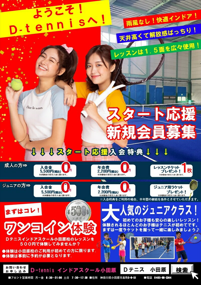 D-テニス小田原　会員限定　１ヶ月レッスン料　平日昼　４回　一般【 神奈川県 小田原市 】