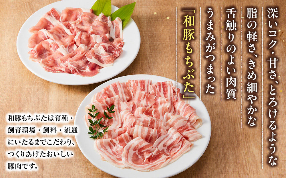 【ふるさと納税限定】和豚もちぶたしゃぶしゃぶセット 合計800g（ロース バラ）ふるさと納税 【小分け 豚肉 ポーク 豚しゃぶ しゃぶしゃぶ肉 冷凍 和豚もちぶた こだわりの豚肉 おいしい豚 贈り物 贈答品 ご褒美 神奈川県 小田原市 】