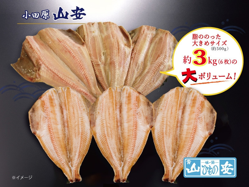 【 小田原 山安 】 大きな縞ほっけ開き干し 約3kg (6枚)【 縞ほっけ 開き干し ほっけ 干物 脂ののった大きめサイズ 500g 6枚 詰合せ 神奈川県 小田原市 】