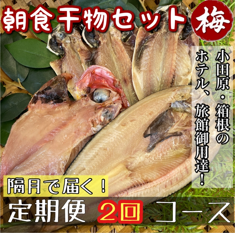 【隔月定期便2回】小田原、箱根の旅館、ホテル御用達！朝食干物セット 梅【 まぐろや 神奈川県小田原市 】