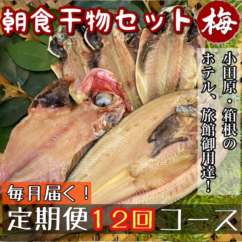 【毎月定期便12回】小田原、箱根の旅館、ホテル御用達！朝食干物セット 梅【 まぐろや 神奈川県小田原市 】