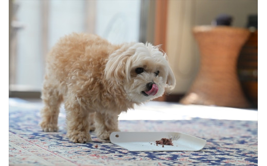 鹿肉ペットフード シカリッチ 25グラム×6個入り（150g）×5セット【 ペットフード 神奈川県 小田原市 】