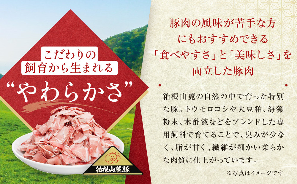 【定期便９ヵ月】箱根山麓豚　モモ・ウデ切り落とし４K盛り(500ｇ×８パック)【 箱根山麓豚 切り落とし 神奈川県 小田原市 】