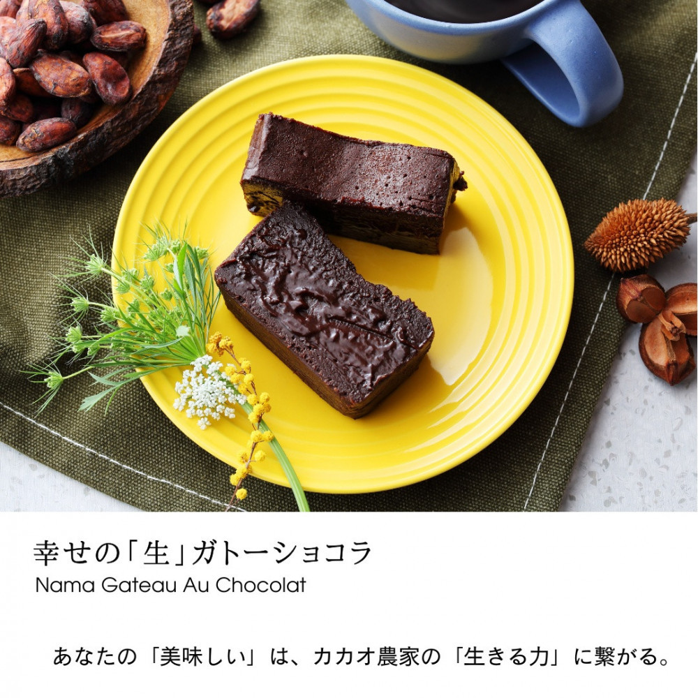 極上の口溶け。幸せの生ガトーショコラ 450g 3本セット【 高級 濃厚  極上スイーツ グルテンフリー チョコ ショコラテリーヌ 高品質クーベルチュールチョコレート使用 一流シェフ 神奈川県 小田原市 】