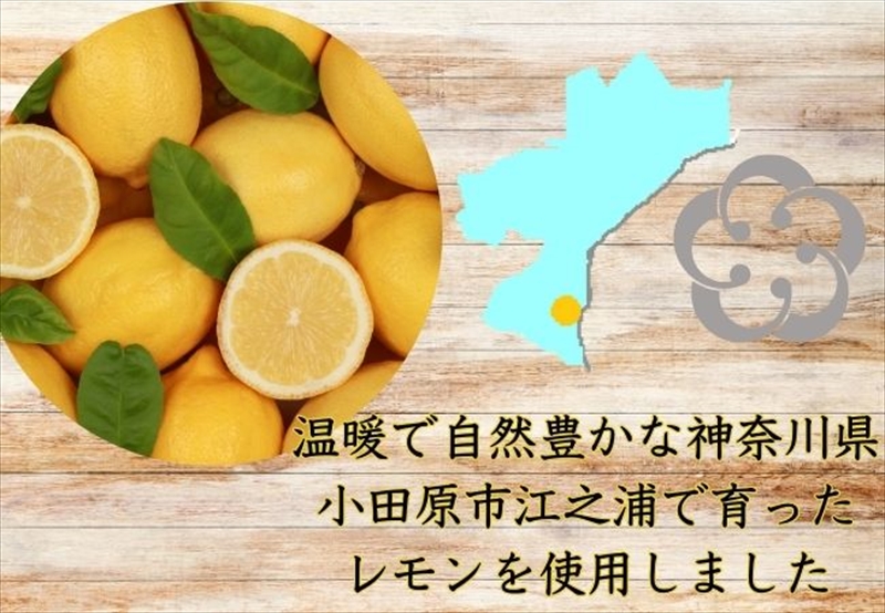 西湘菓子工房樫の樹　江ノ浦れもん10個入りギフト 【 お菓子 スイーツ 神奈川県 小田原市 】