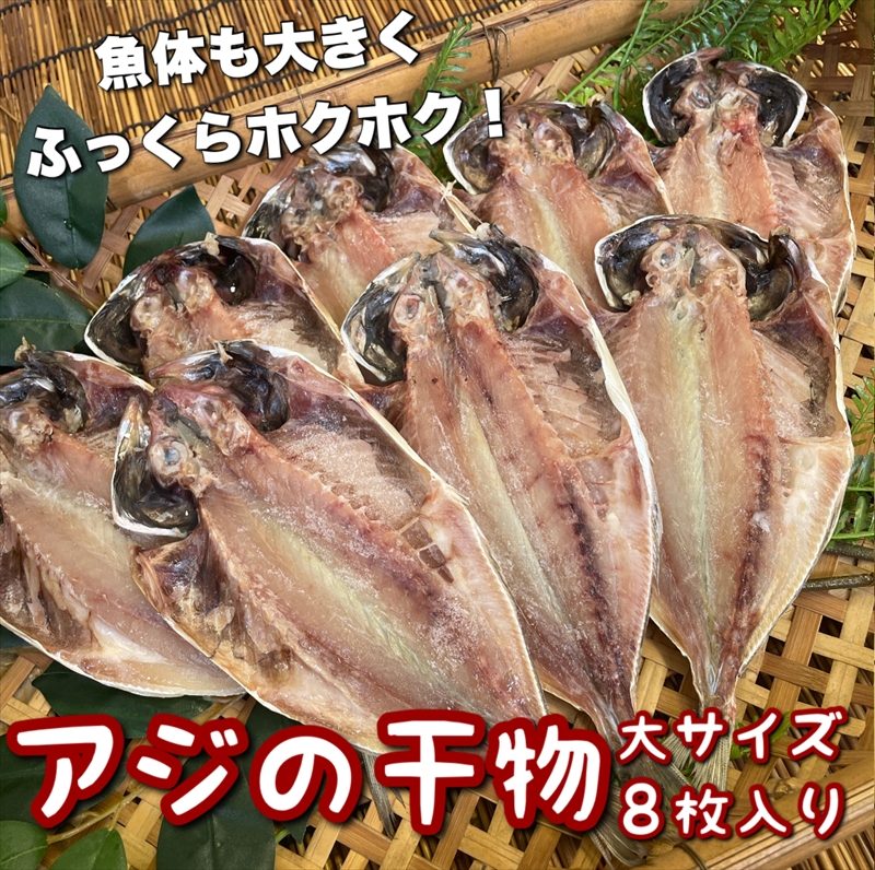 鯵の干物 大サイズ 8枚セット 【 まぐろや 神奈川県 小田原市 】