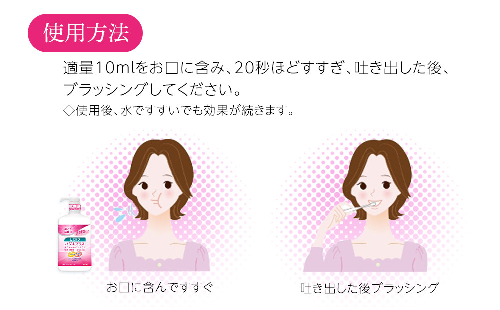 【定期便 毎月 3か月】LION ハミガキセット