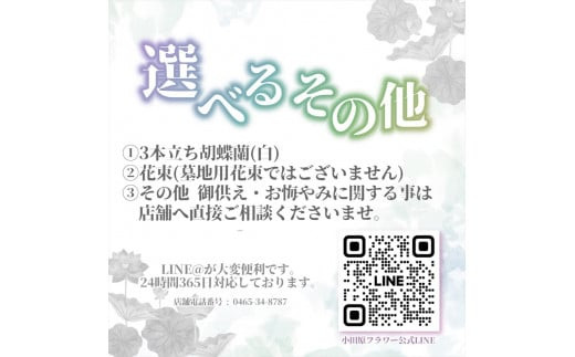 ãâ48幎以äžã®ä¿¡é Œãšæâ詳ããã¯ç»åããèªã¿ãã ãããéžã¹ããäŸãã»ãæãã¿ã»æ³èŠã è± ãè± ç¥å¥å·ç å°ç°ååž ã