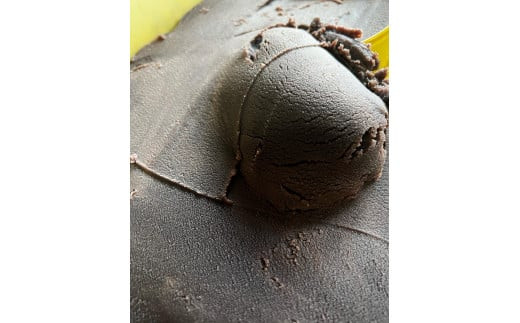 【手づくりあんこ】こしあん500g×4【 神奈川県 小田原市 】