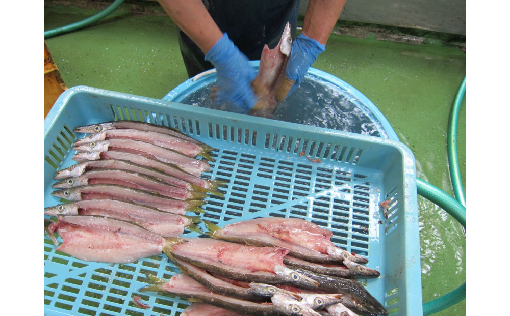 超特ひもの満腹つめあわせ　S90【干物 干物セット 惣菜 魚 ひもの こだわりの干物 干物詰め合わせセット 満腹干物詰め合わせ 大あじ、小あじ  金目鯛大 、大かます 神奈川県 小田原市 】
