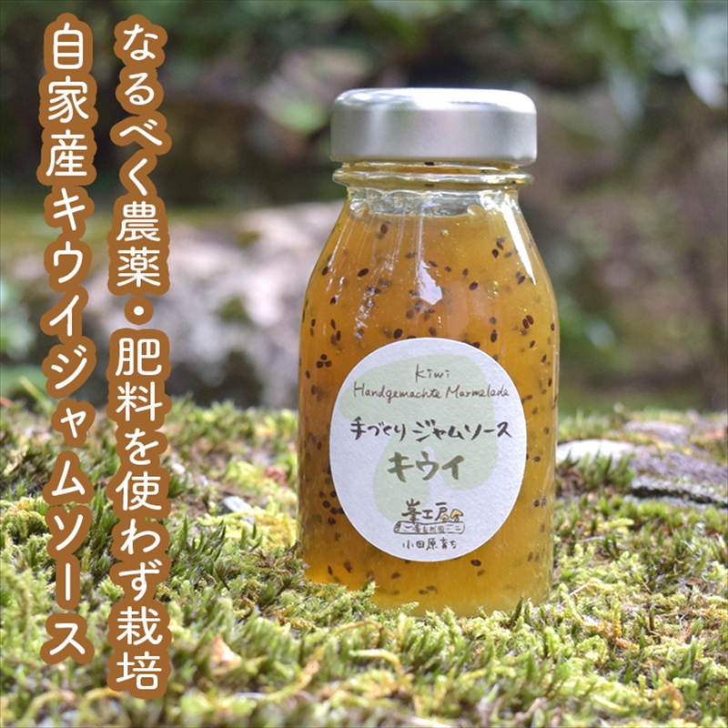 手づくりジャムソース 4本セット 手作りみかん キウイ あまなつ ブルーベリー 125ml 詰め合わせ ギフト 【 家庭用 自宅用 贈答品 贈答用 ギフト お取り寄せ お中元 お歳暮 贈り物 お祝い 神奈川県 小田原市 】