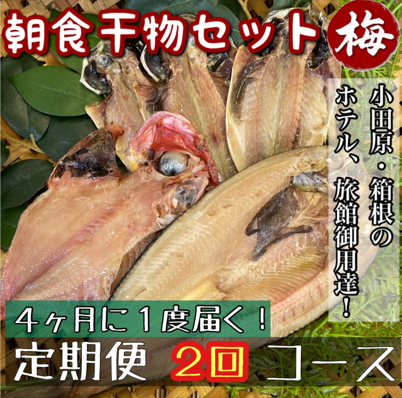 【4ヶ月に1回配送 定期便2回】小田原、箱根の旅館、ホテル御用達！朝食干物セット 梅【 まぐろや 神奈川県小田原市 】