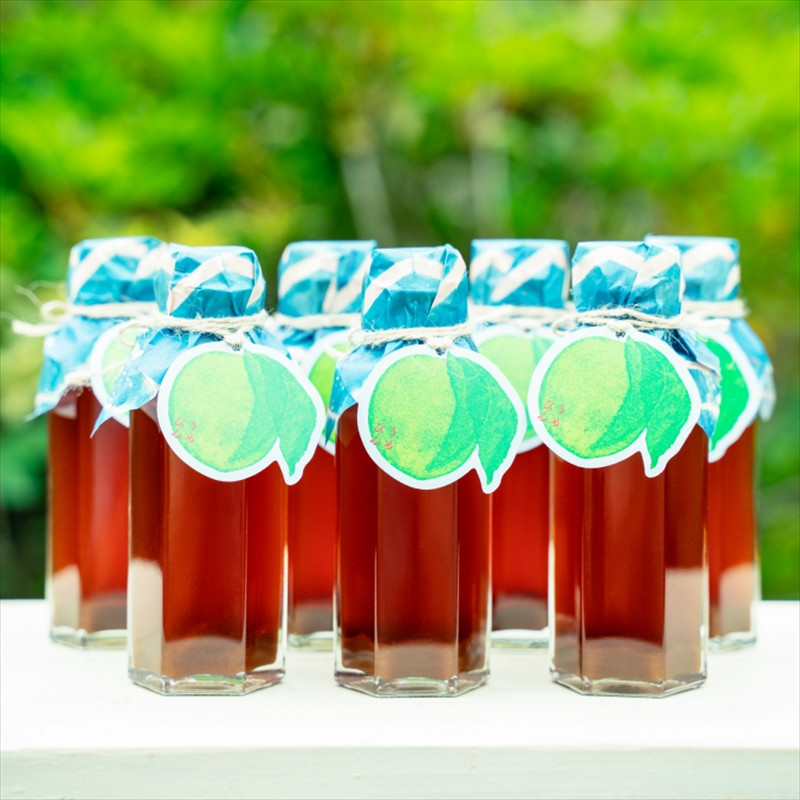 【６本セット】濃厚梅エキスと漢方のシロップ「うめびん（杉田梅） by Kampo Kitchen」【 家庭用 自宅用 贈答品 贈答用 ギフト お取り寄せ お中元 お歳暮 贈り物 お祝い 神奈川県 小田原市 】