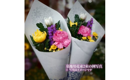 ãâ48幎以äžã®ä¿¡é Œãšæâ詳ããã¯ç»åããèªã¿ãã ãããéžã¹ããäŸãã»ãæãã¿ã»æ³èŠã è± ãè± ç¥å¥å·ç å°ç°ååž ã