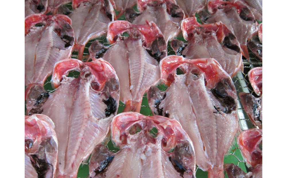 小田原ひもの詰合せ s45【惣菜 魚 干物 ひもの お取り寄せ 御中元 お中元 お歳暮 父の日 母の日 贈り物 家庭用 自宅用 贈答品 贈答用 ギフト 定番 朝食 朝ごはん 国産 中あじ、中かます、中金目鯛  神奈川県 小田原市 】