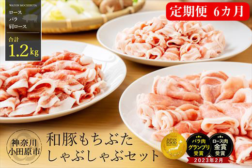 ãå®æäŸ¿6ãµæã åè± ãã¡ã¶ã ããã¶ããã¶ ã»ãã åèš 1.2kg ããŒã¹ ãã© è©ããŒã¹ ãµãããšçŽçš ãããŒã¯ è±ãã© è±ããŒã¹ è±ããã¶ ããã¶ããã¶è è±è èŽçå èŽççš ã®ãã ãåãå¯ã 埡äžå
ãäžå
ãæ³æ® èŽãç© ç¥å¥å·ç å°ç°ååž ã