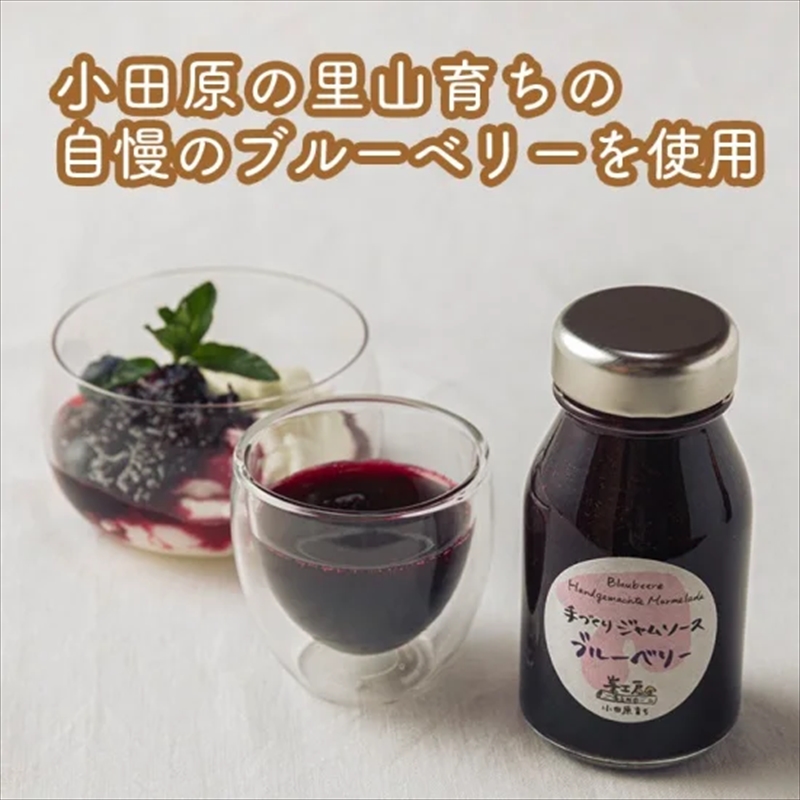 手づくりジャムソース 8本セット 手作りみかん キウイ あまなつ ブルーベリー 125ml 詰め合わせ ギフト 【 家庭用 自宅用 贈答品 贈答用 ギフト お取り寄せ お中元 お歳暮 贈り物 お祝い 神奈川県 小田原市 】