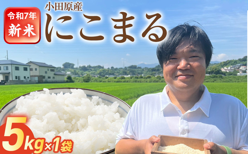 令和7年産　富水米　精米　5kg　にこまる