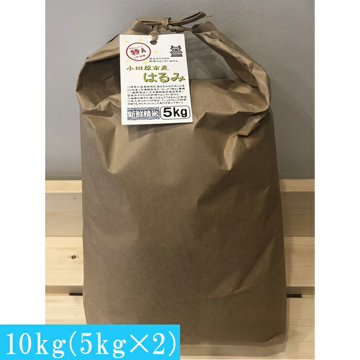 志村屋米穀店 令和6年産新米小田原市産　はるみ　10kg（5kgｘ2）＜出荷時期：10月中旬より順次出荷開始＞