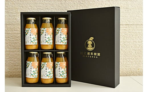 ギフトセット１８０ｍｌ６本入り 小田原産江之浦みかん１００％ストレートジュース１８０ml６本
