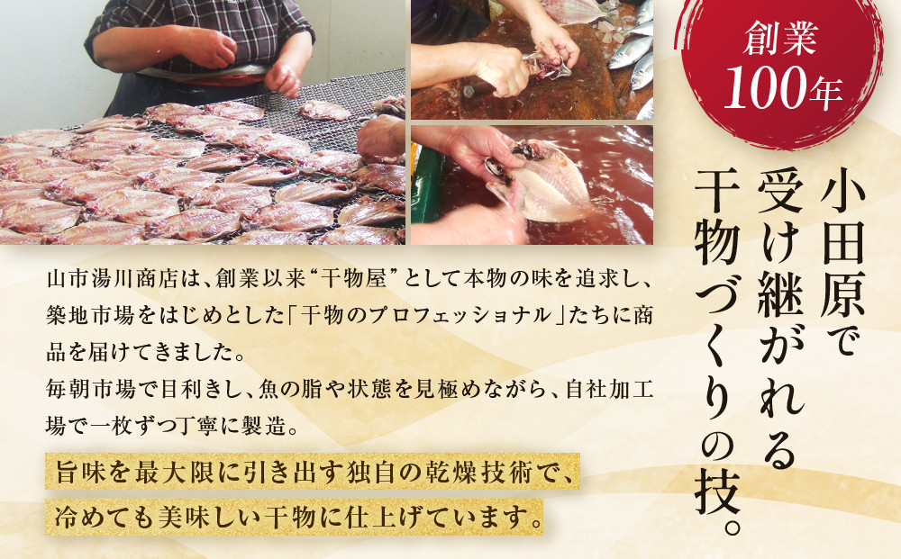 【国産】おまかせ干物セット 梅コース【お取り寄せ 海鮮 グルメ ギフト プレゼント 産地直送 産直 魚 手作り ひもの 詰め合わせ お中元 お歳暮 父の日 母の日 誕生日 自宅用 贈答品 贈答用 朝食 バーベキュー 神奈川県 小田原市 】