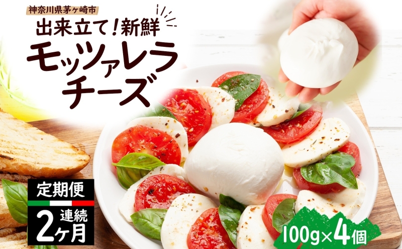 2ヶ月定期便 出来立て新鮮 モッツァレラチーズ100g × 4個セット 茅ヶ崎産 チーズ モッツァレラ 手作り Osteria e Bottega S 神奈川県 湘南 茅ヶ崎市 フレッシュチーズ