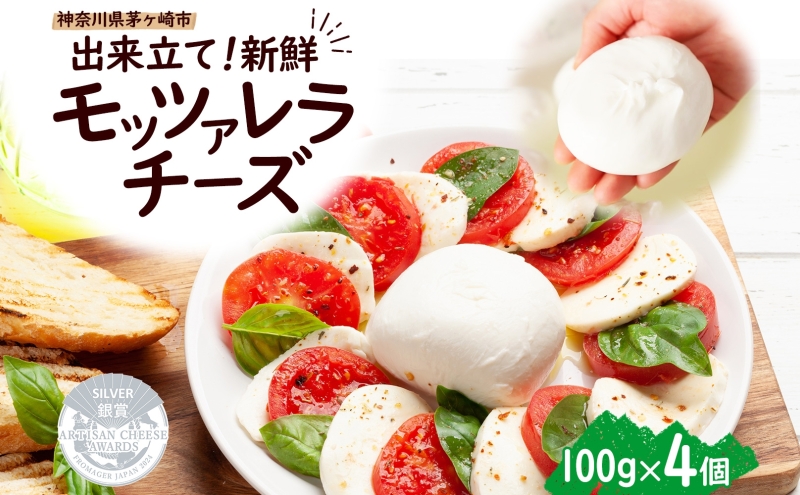 出来立て新鮮 モッツァレラチーズ100g  ×  4個セット 茅ケ崎産 加工食品 乳製品 チーズ 出来立て 神奈川県産 モッツァレラ 手作り Osteria e Bottega S 神奈川県 湘南 茅ケ崎 フレッシュチーズ  おつまみ ピザ