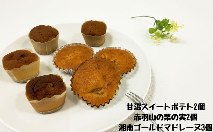 湘南スイーツ　焼き菓子詰め合わせ　レプラコーン。