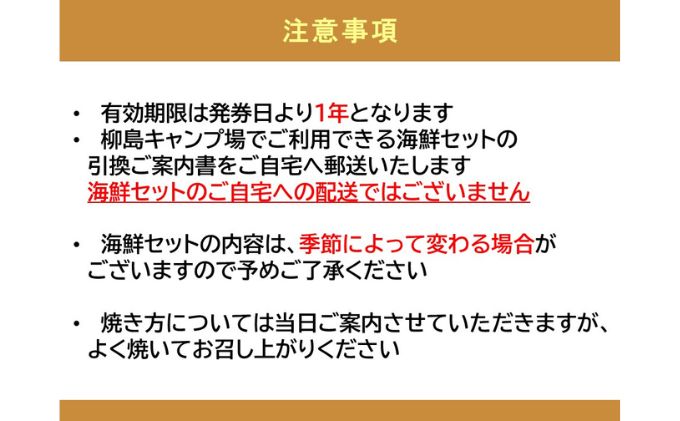 ちがさき柳島キャンプ場でBBQ！WAKUWAKU海鮮セット（引換券）