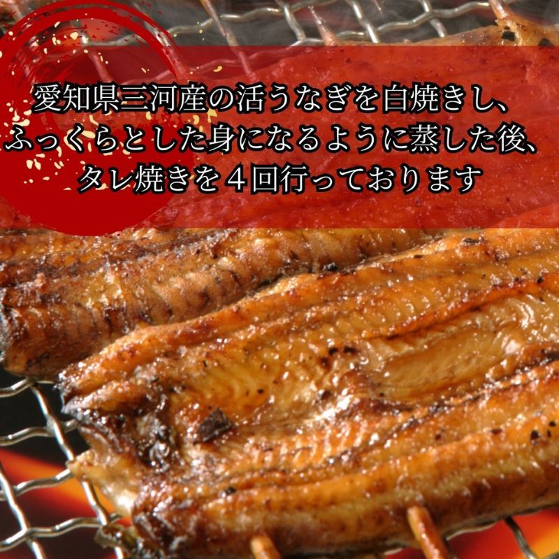 【三河産 鰻】うなぎ蒲焼セット2尾（活魚1本200g×2） 国産活うなぎ 脂 安心安全 特別な日 ふっくらとした身 