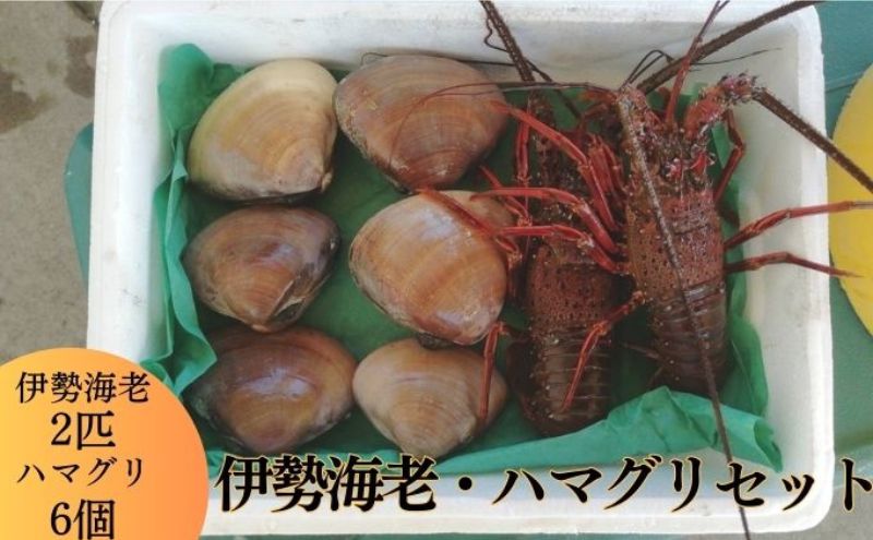 伊勢海老 ハマグリ 茅ヶ崎の幸 豪華 セット 新鮮 朝どれ 烏帽子産 漁師からそのままお届け　