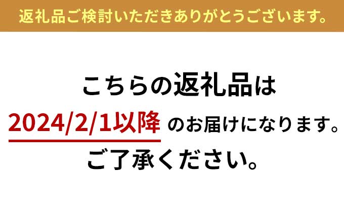 茅ヶ崎ビール (IPA) 6本セット　【お酒　ビール　クラフトビール　瓶入り　化粧箱入り】