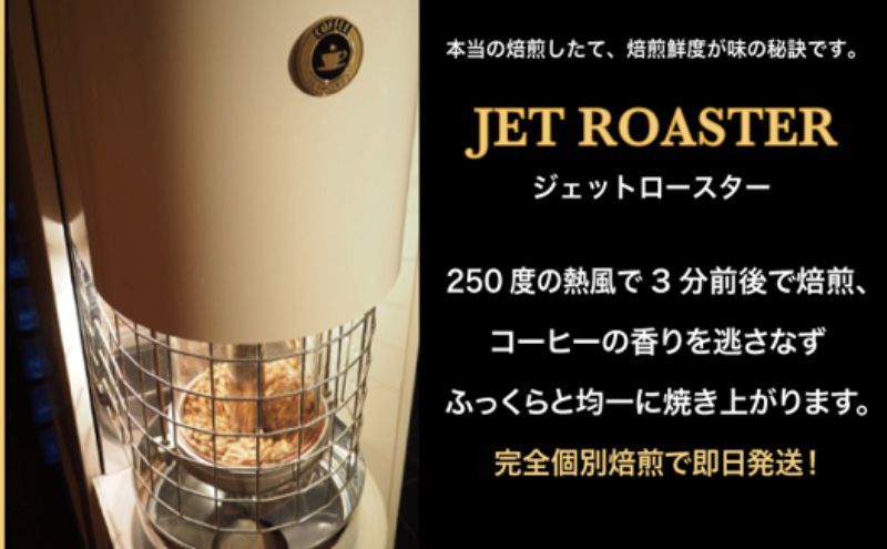 【中挽き】定期便【出荷日焙煎確約】味わいの違いを堪能するコーヒー王国ブラジル3銘柄 （すべて酸味の少ないタイプ） 200g × 3銘柄 合計600g 6ヶ月定期便