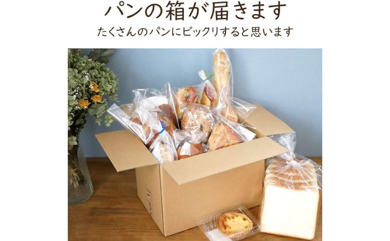 【定期便6ヶ月】茅ヶ崎B-grottoの人気パン入りおススメセット 食パン お惣菜パン クロワッサン 冷凍