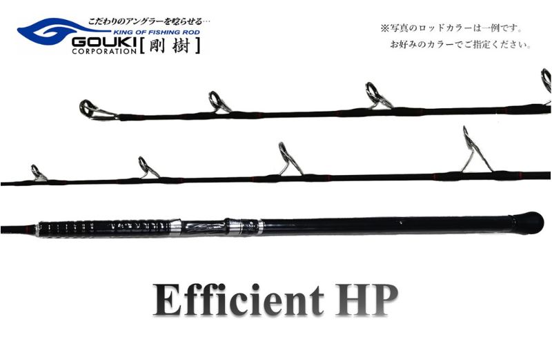 剛樹 エフィシェント EFFICIENT HP 600 101 ジギングロッド