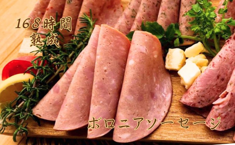 【ふるさと納税】国産 熟成肉 ハム プレミアムギフトC 詰め合わせ ボンレスハム ポークプレスハム ベーコン あら挽きウインナー ボロニアソーセージ 神奈川県 茅ヶ崎市