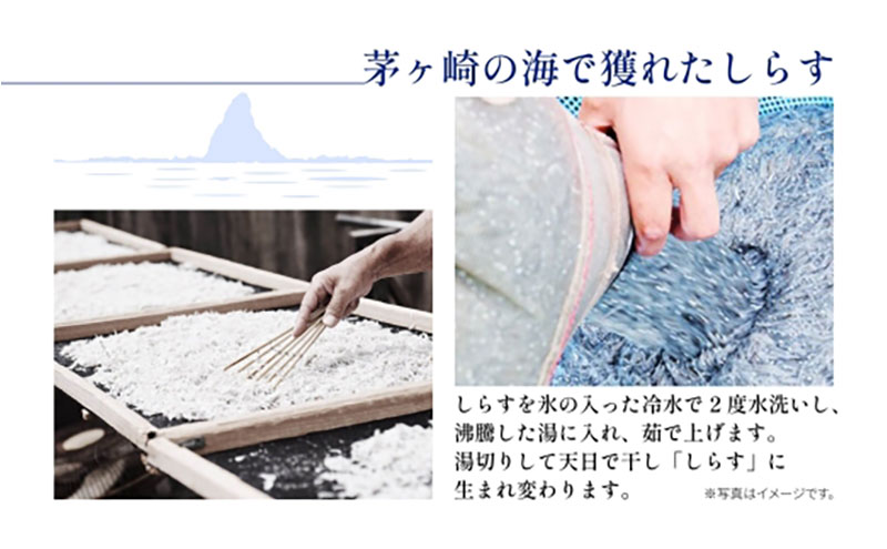 茅ヶ崎 しらす 干物 贅沢 セット しらす 600g たたみしらす 8枚入 1箱 かます 2枚 あじ 3枚 銀サケ 4枚 太刀魚 1枚 赤魚 粕漬 2枚 網元 新鮮 船 海 海鮮 漁 冷凍 北村水産 焼く ご飯 酒 つまみ 神奈川県 茅ケ崎市