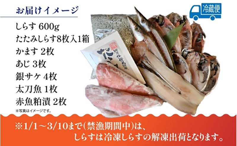 茅ヶ崎 しらす 干物 贅沢 セット しらす 600g たたみしらす 8枚入 1箱 かます 2枚 あじ 3枚 銀サケ 4枚 太刀魚 1枚 赤魚 粕漬 2枚 網元 新鮮 船 海 海鮮 漁 冷凍 北村水産 焼く ご飯 酒 つまみ 神奈川県 茅ケ崎市