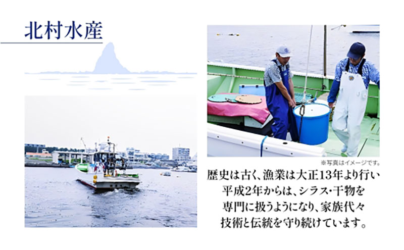 茅ヶ崎 しらす 干物 贅沢 セット しらす 600g たたみしらす 7枚入 1箱 かます 2枚 あじ 3枚 銀サケ 4枚 太刀魚 1枚 赤魚 粕漬 2枚 網元 新鮮 船 海 海鮮 漁 冷凍 北村水産 焼く ご飯 酒 つまみ 神奈川県 茅ケ崎市