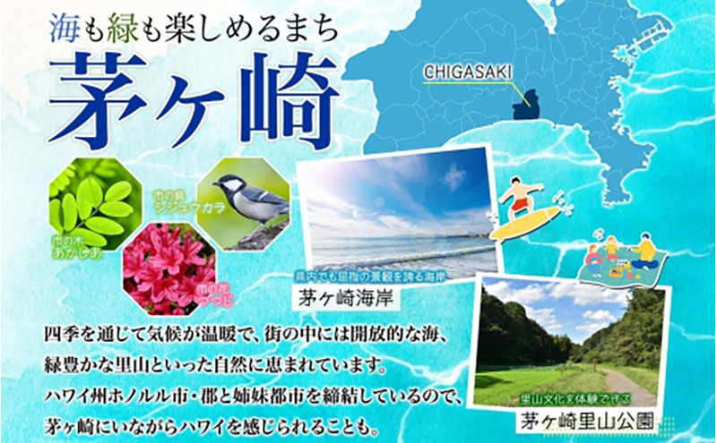 矢島ハム 贅沢グルメ セット 6種 ハム ベーコン セット ドイツブロック  国産 牛肉  豚肉 手作り ハム ソーセージ 詰め合わせ こだわり 加工品 ギフト  お中元 お歳暮 贈り物 株式会社 矢島ハム  神奈川県 茅ヶ崎市