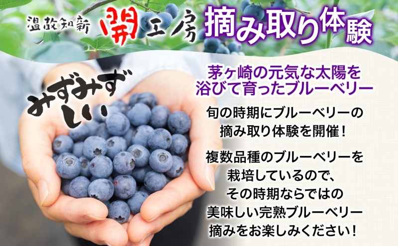 ブルーベリー農園 摘み取り券 収穫 太陽 養液栽培 美味 育つ ジャム バター 地場産  新鮮 卵 スプレッド 濃厚 風味 温故知新 開工房 農園 果実 摘み取り 完熟 農園 あっさり 食パン 採れたて朝食 送料無料 神奈川県 茅ヶ崎市